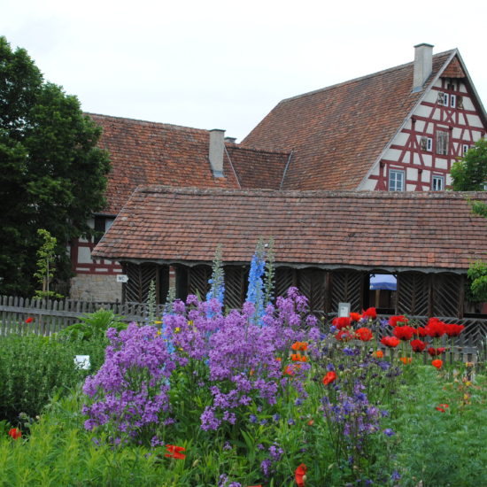 Ook de bloemen behoren tot de tentoonstelling