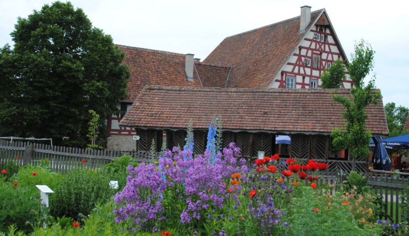 Ook de bloemen behoren tot de tentoonstelling