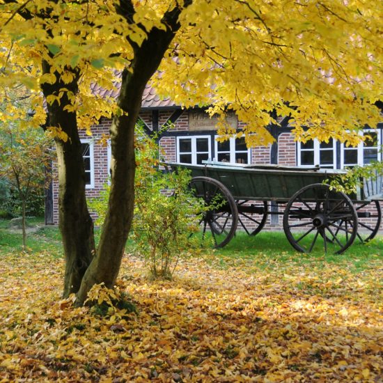 Museumsdorf Cloppenbur