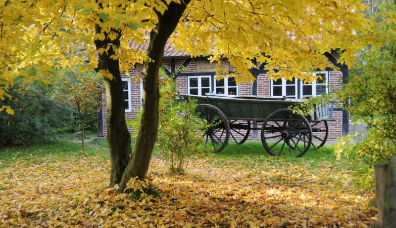 Museumsdorf Cloppenbur