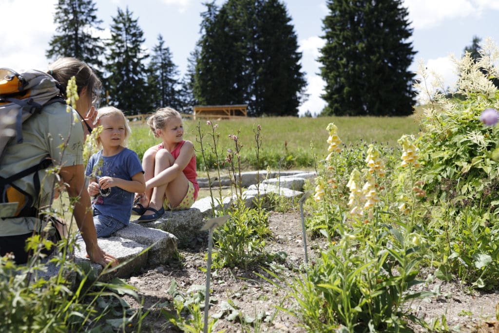Kindervriendelijk hotel Feldberger Hof