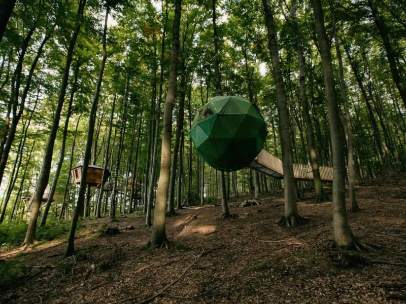 Robins Nest/ Foto: Faruk Pinjo