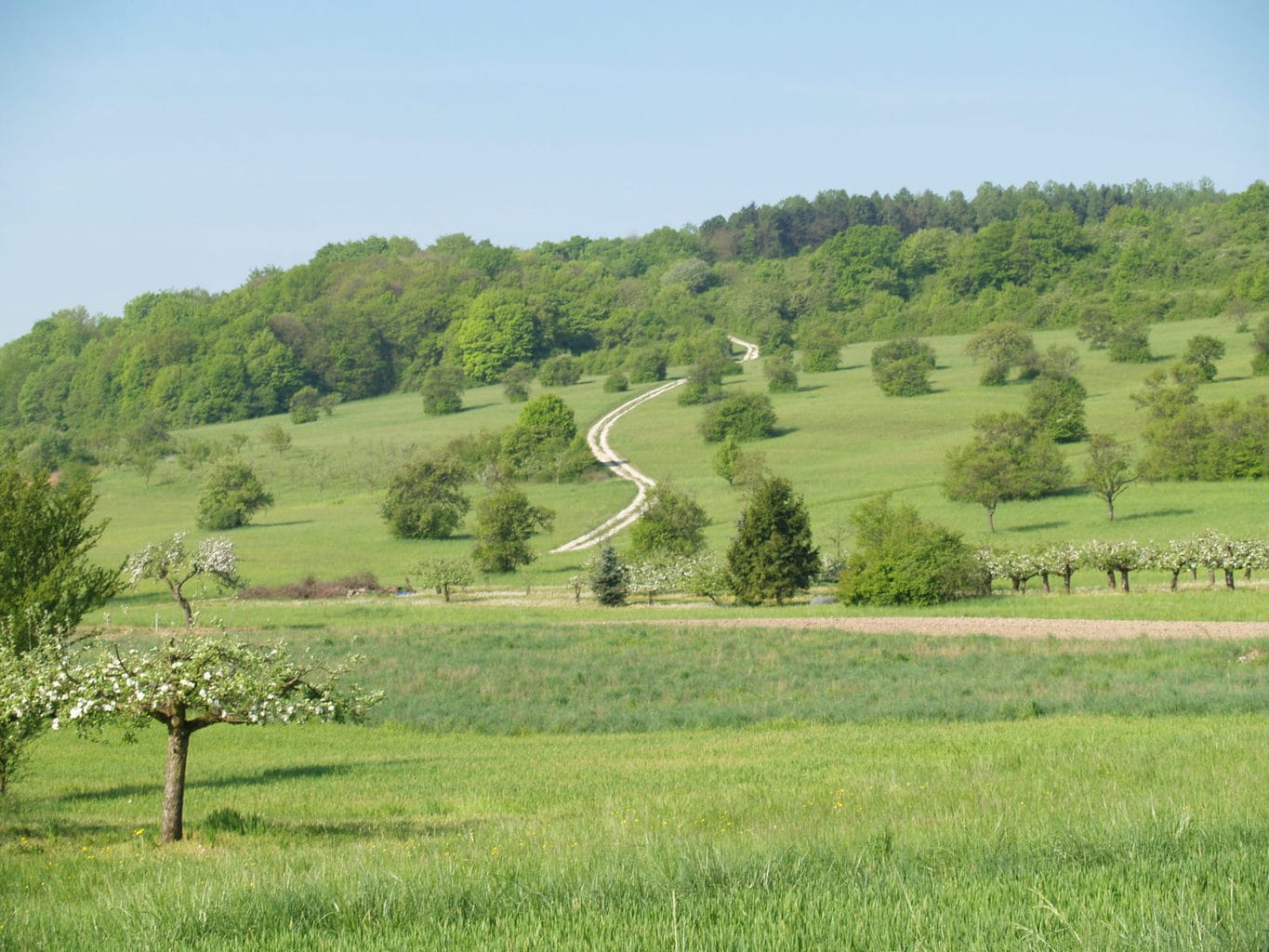 Foto: Tourismus Zentrale Saarland