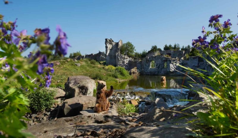 Foto: ZOOM Erlebniswelt Gelsenkirchen