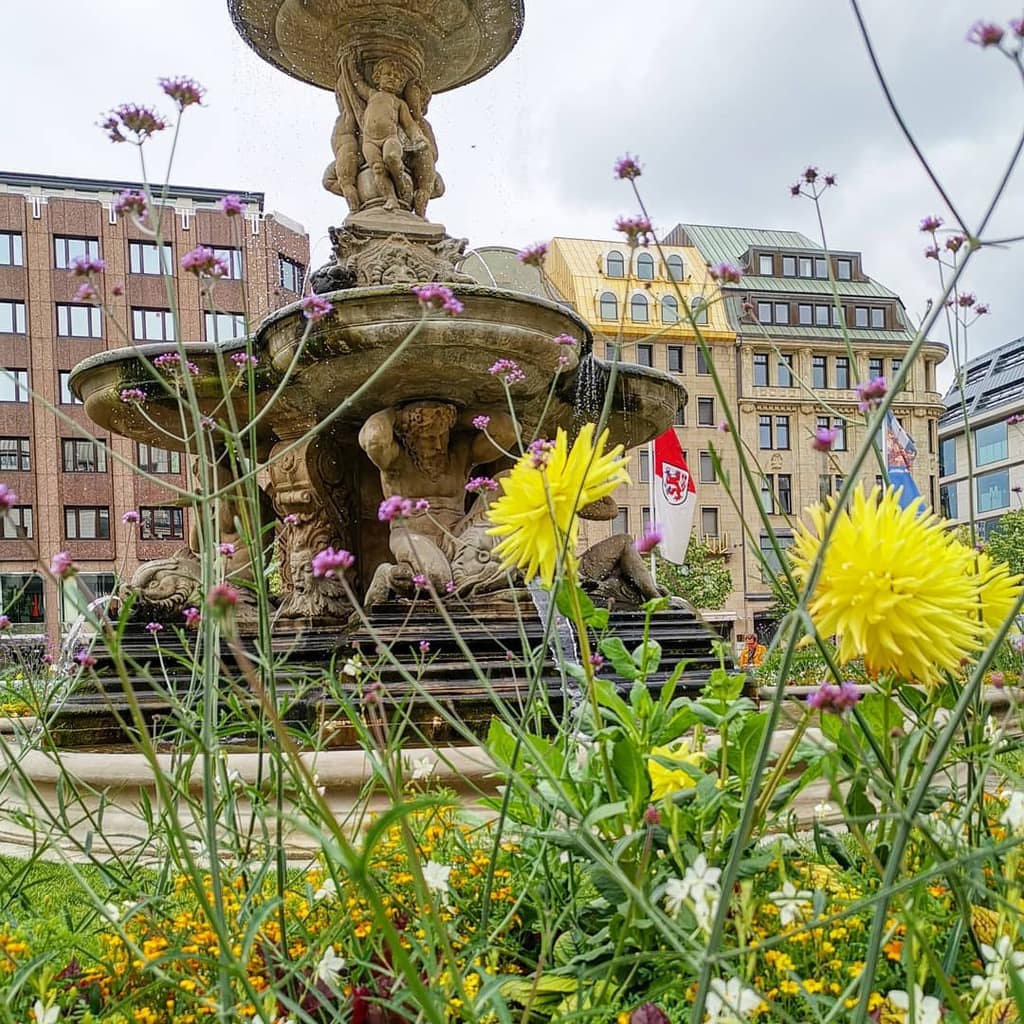 In Düsseldorf vind je een heleboel mooie standbeelden!
#düsseldorf #visitduesseldorf #bloemen #fontein #brunnen #monumentaal #mooiestad #stedentrip #duitsland #vakantie #uitstapje #weekendjeweg #evenweg #opstap
