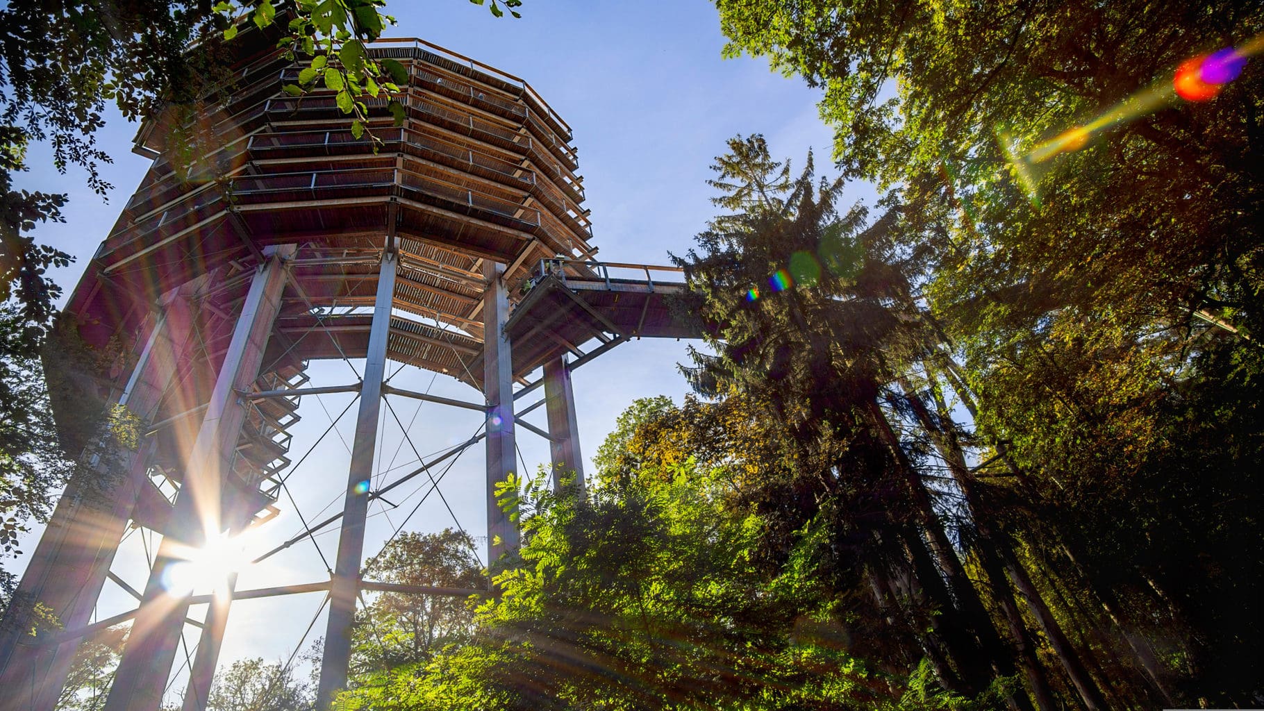 Uitzichttoren bij de Saarschleife in het Saarland met bos
