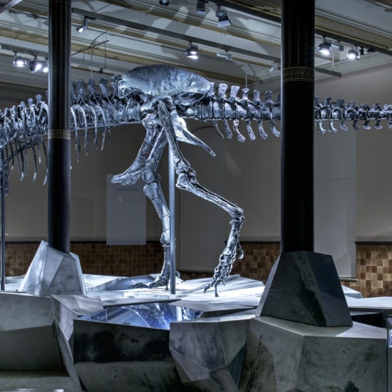 Tristan is een van de grootste dinosaurussen in Duitsland