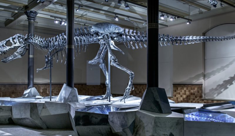 Tristan is een van de grootste dinosaurussen in Duitsland
