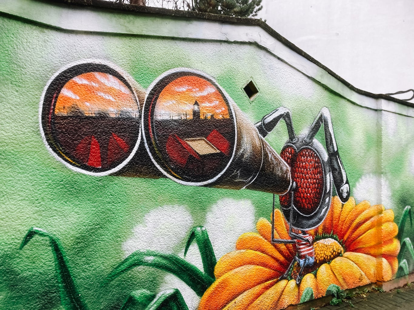 Insect met verrekijker street art in Ehrenfeld