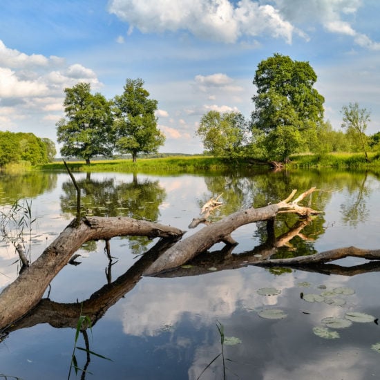 Nationaal Park Unteres Odertal