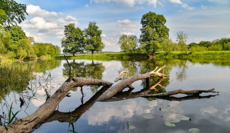Nationaal Park Unteres Odertal