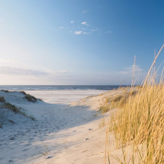 Duinen aan de Duitse noordzeekust met de zee in de verte