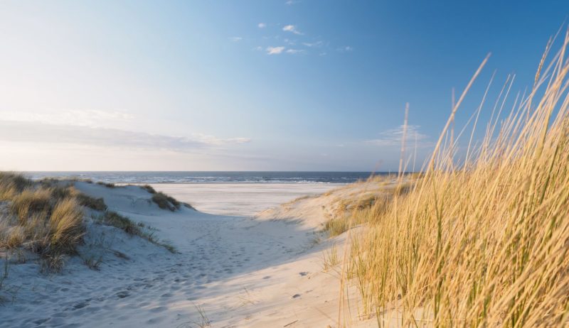 Duinen aan de Duitse noordzeekust met de zee in de verte