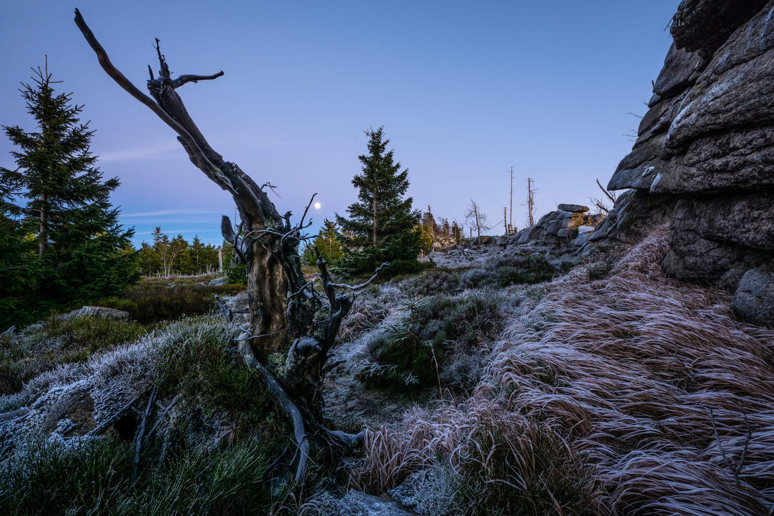 De Hohnekann met de maan in het nationaalpark Harz