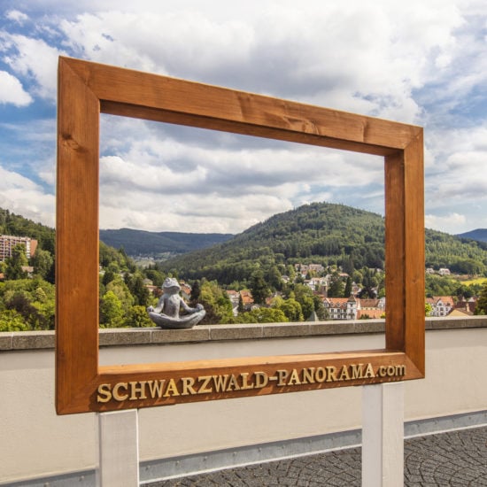 Hotel Schwarzwald Panorama biedt een uitzicht om intelijsten