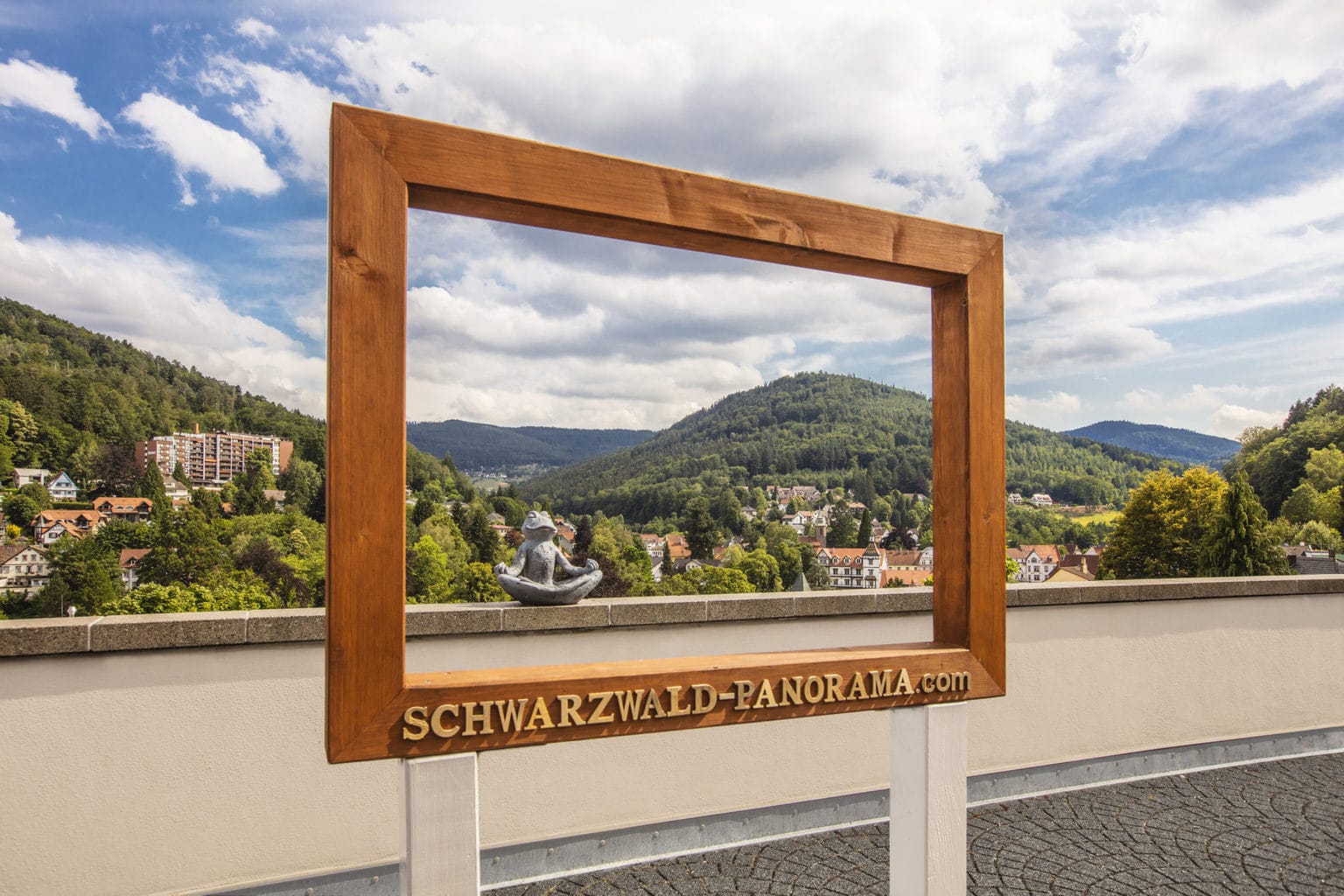 Hotel Schwarzwald Panorama biedt een uitzicht om intelijsten