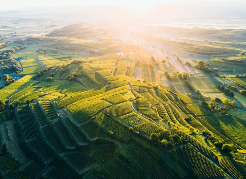 Het spectaculair landschap rondom de Kaiserstuhl in Baden-Wuerttemberg in het zonlicht