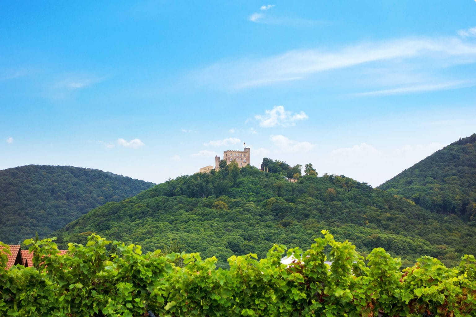 Het Hambacher Schloss ligt inmidden van wijngaarden