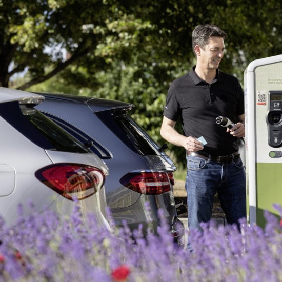 Een man sluit zijn plugin hybrid auto van Mercedes Benz aan bij een elektrisch tankstation in de buurt van een lavendelveld