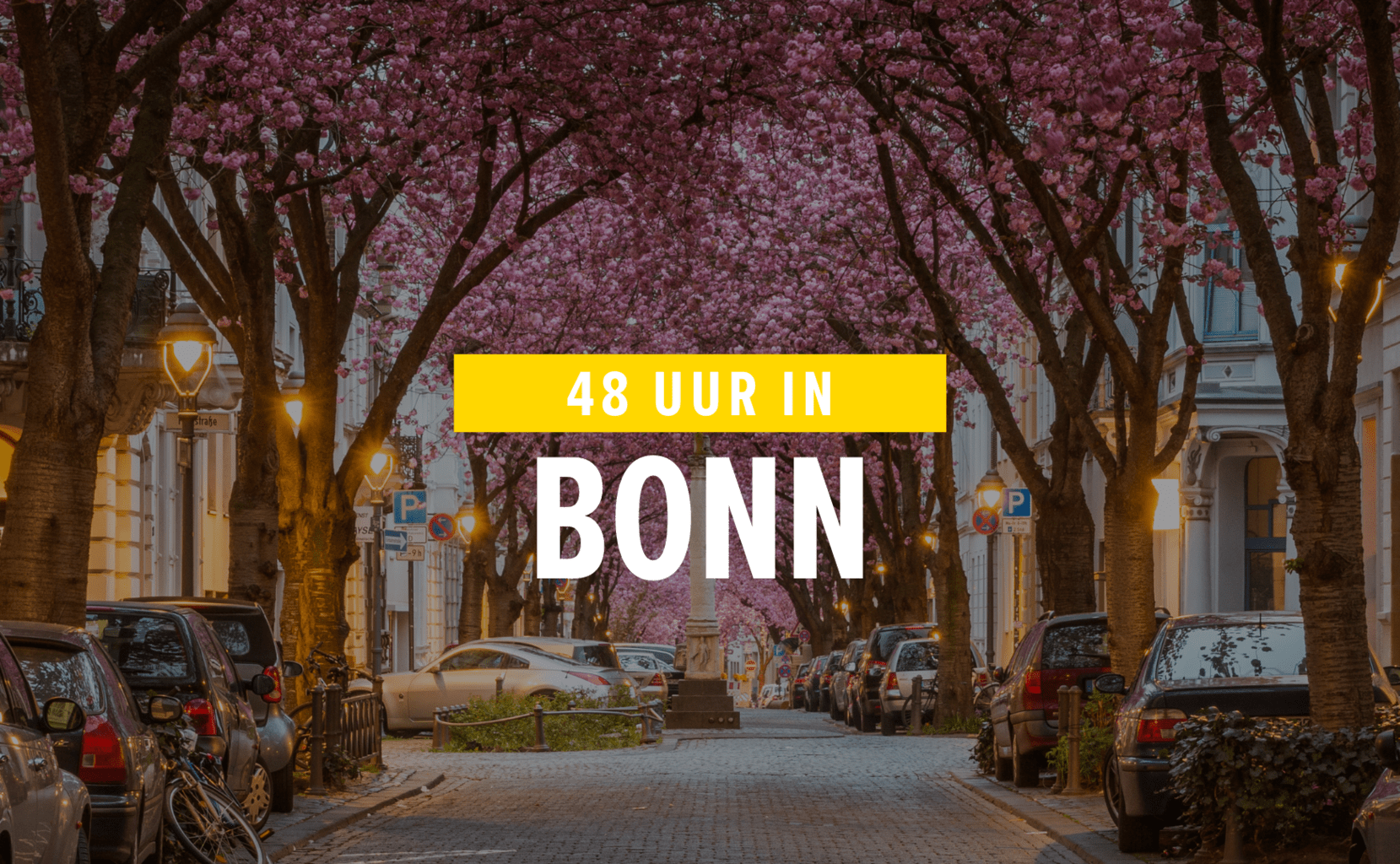 Bonn is de voormalige hoofdstad van Duitsland met supermooie kersenbomen in de oude stad