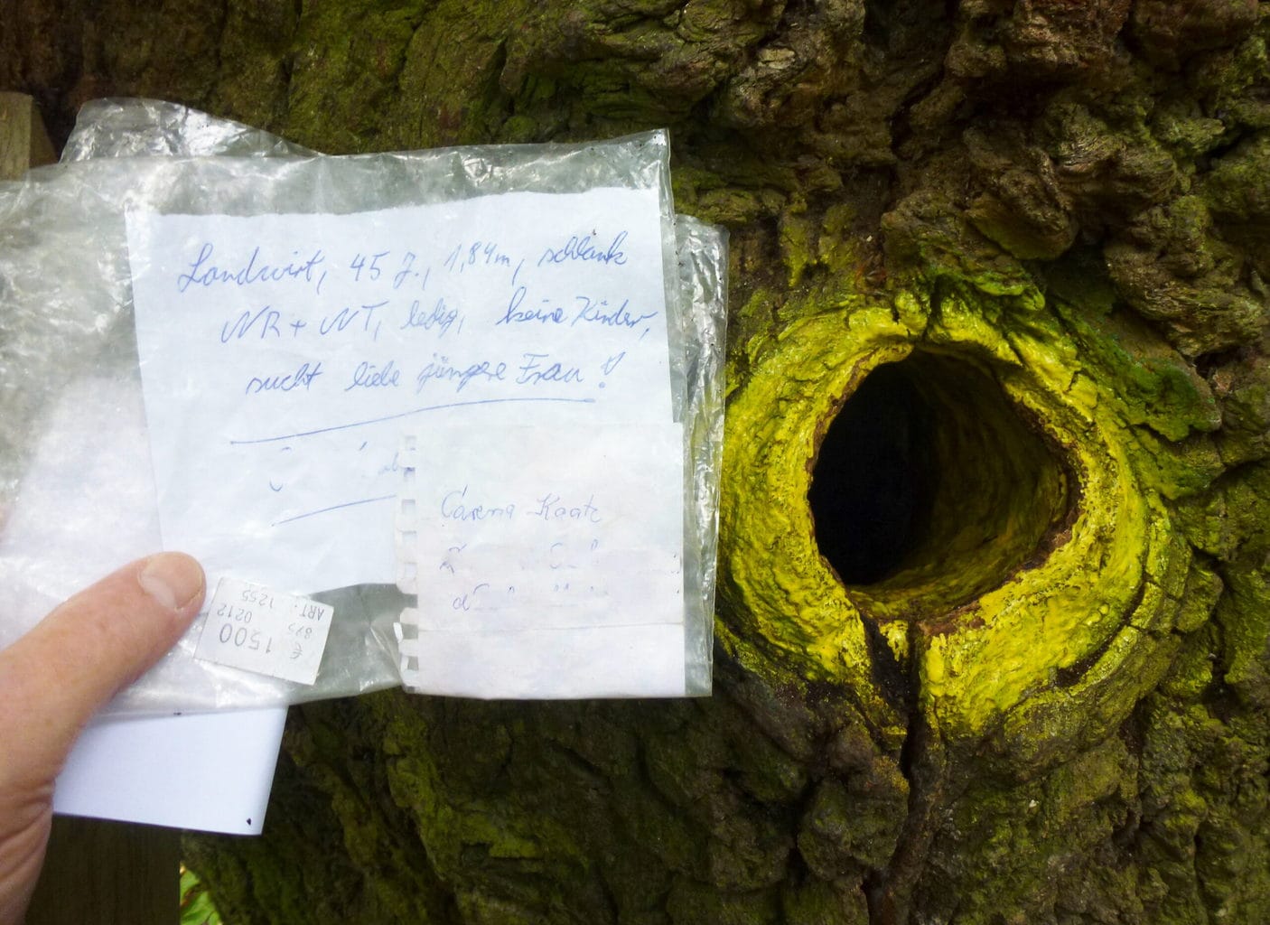 Een brief aan de 500 jaar oude bruidegomseik in Eutin in Sleeswijk-Holstein