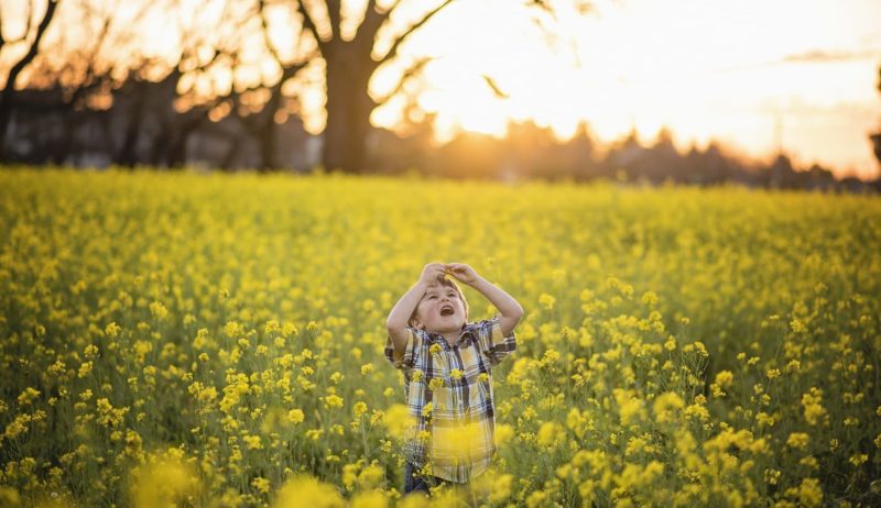 Een jonge speelt in een mosterveld met veel gele bloemen in Oostduitsland