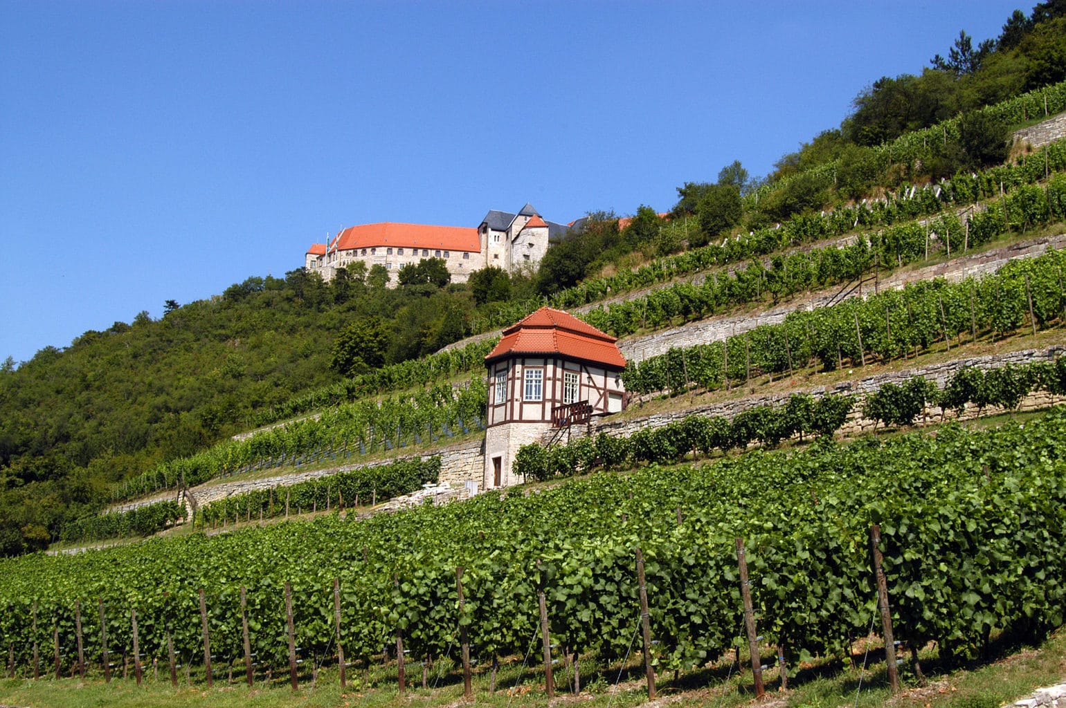 Hertioglijke wijnberg met huisje en kasteel in de regio Saale-Unstrut