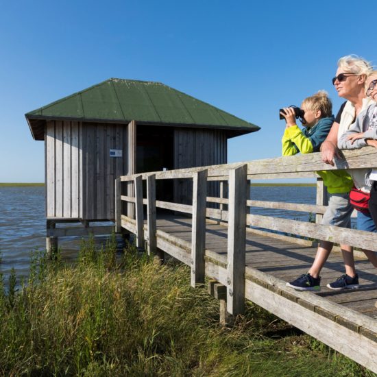 Vogelkijkhut bij Langwarder aan de Duitse Noordzeekust