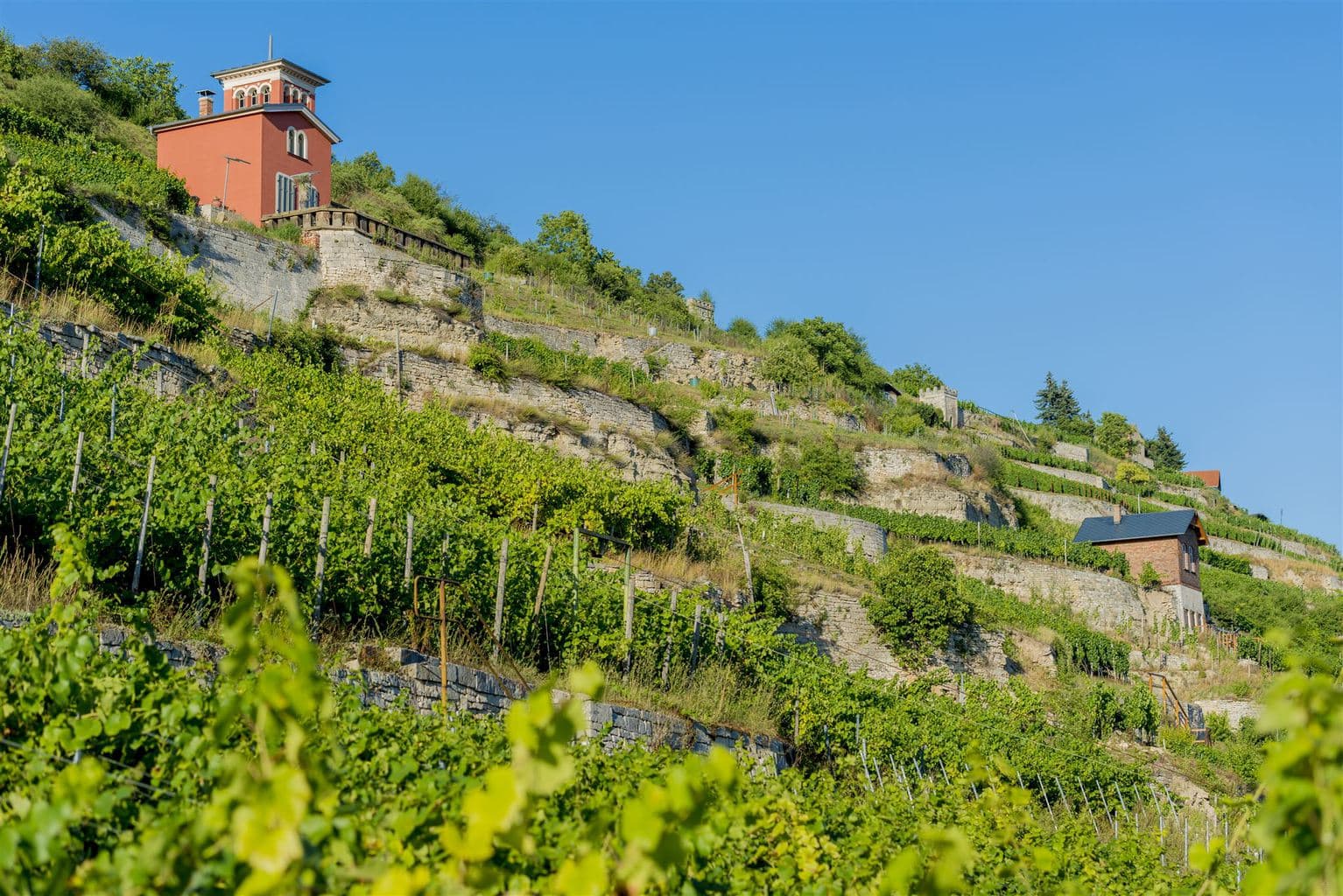 Kleine wijnberghuisjes zijn een van de kenmerken van de regio Saale-Unstrut