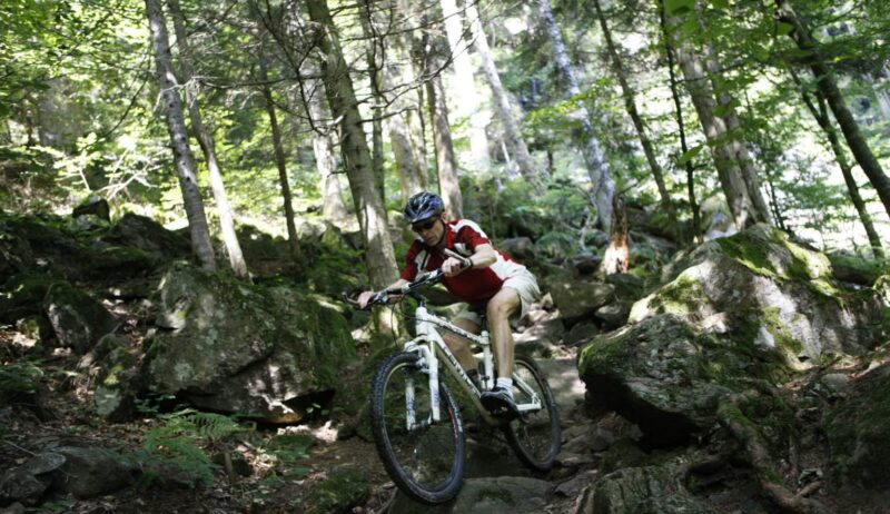 Een mountainbiker tijdens een afdaling in het Zwarte Woud