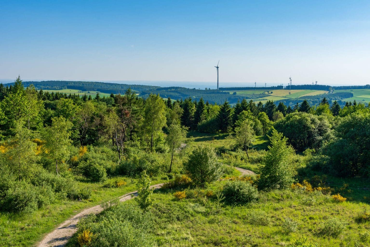 Het natuurpark Teutoburger Wald met groene heuvels