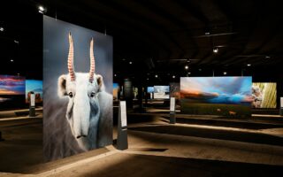 Tentoonstelling met foto's van zeldzame dieren in Gasometer Oberhausen