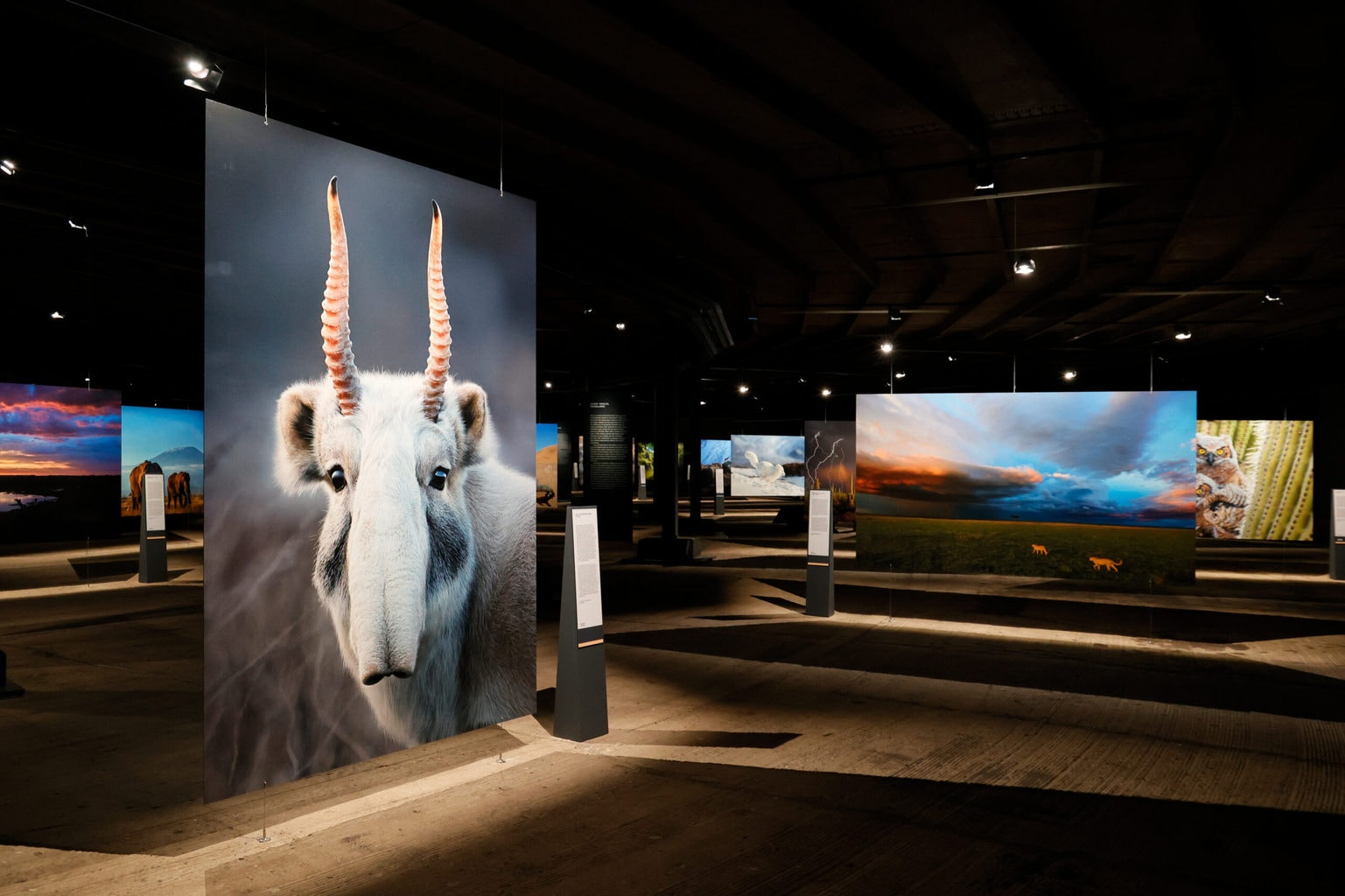 Foto's die in de tentoonstelling het kwetsbare paradijs te zien zijn voordat je naar de grote zaal gaat