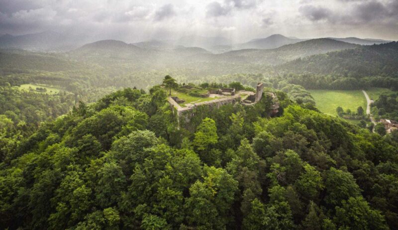 Uitzicht op de ruine van een kasteel met daarachter het bos van Bad Bergzabern in de palts