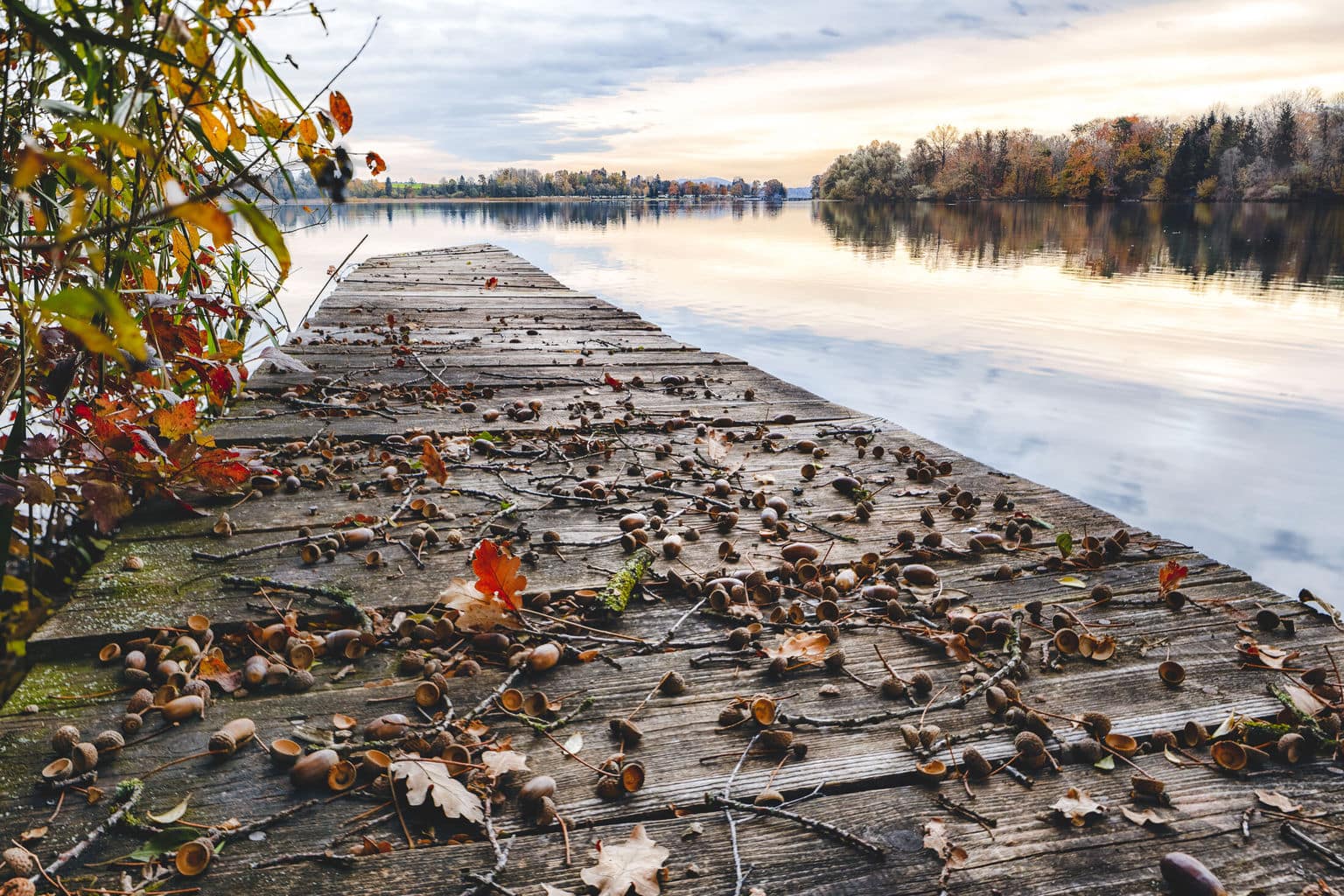 Het Waginger Meer in de Chiemgau in Beieren tijdens de herfst