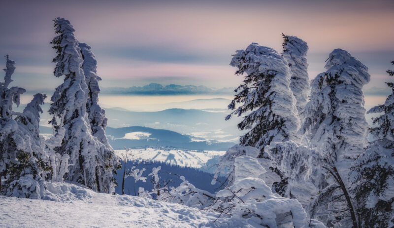 Winterlandschap op de berg Lusen in het Beierse woud