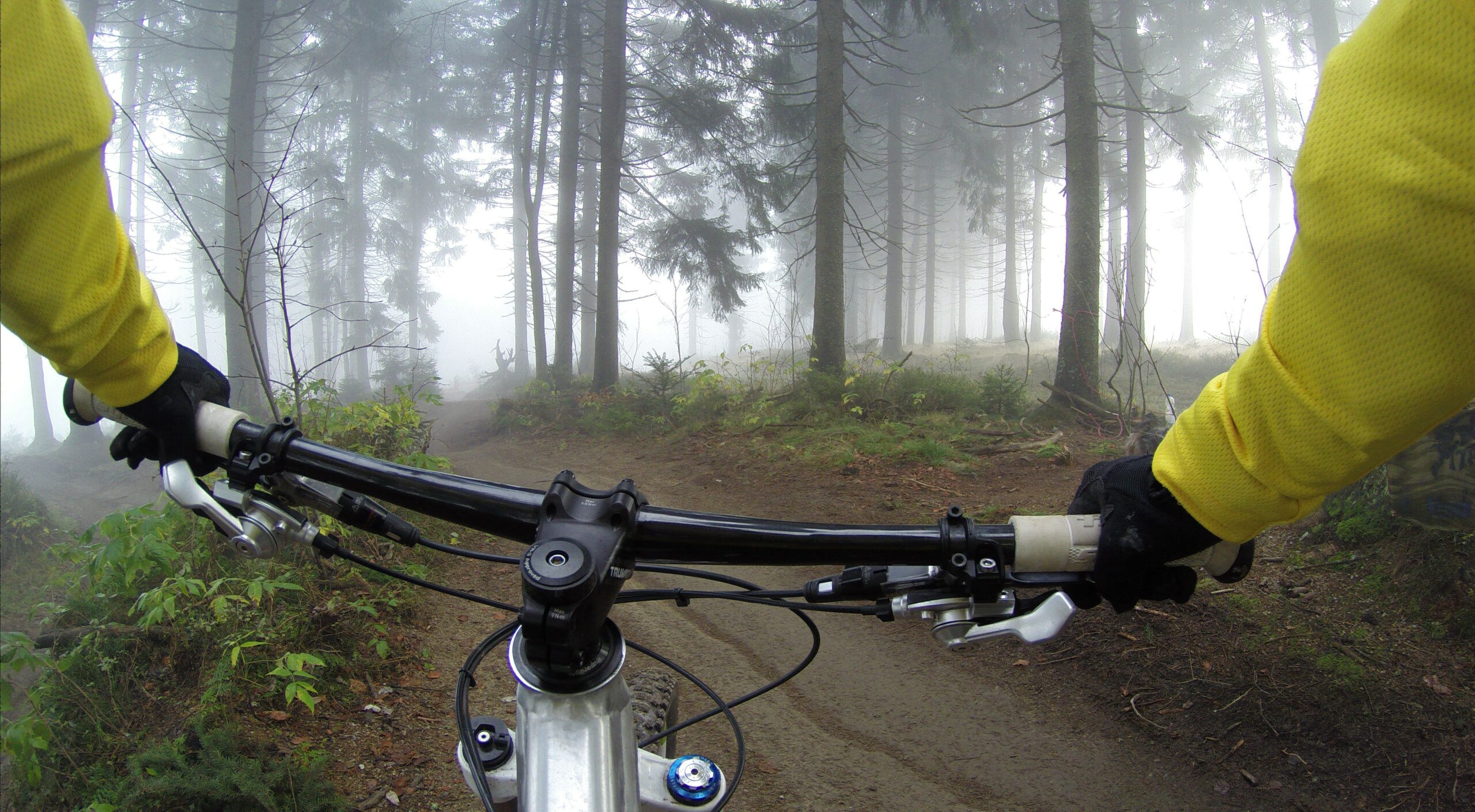 Een mountainbiker fietst door een bos in de Harz