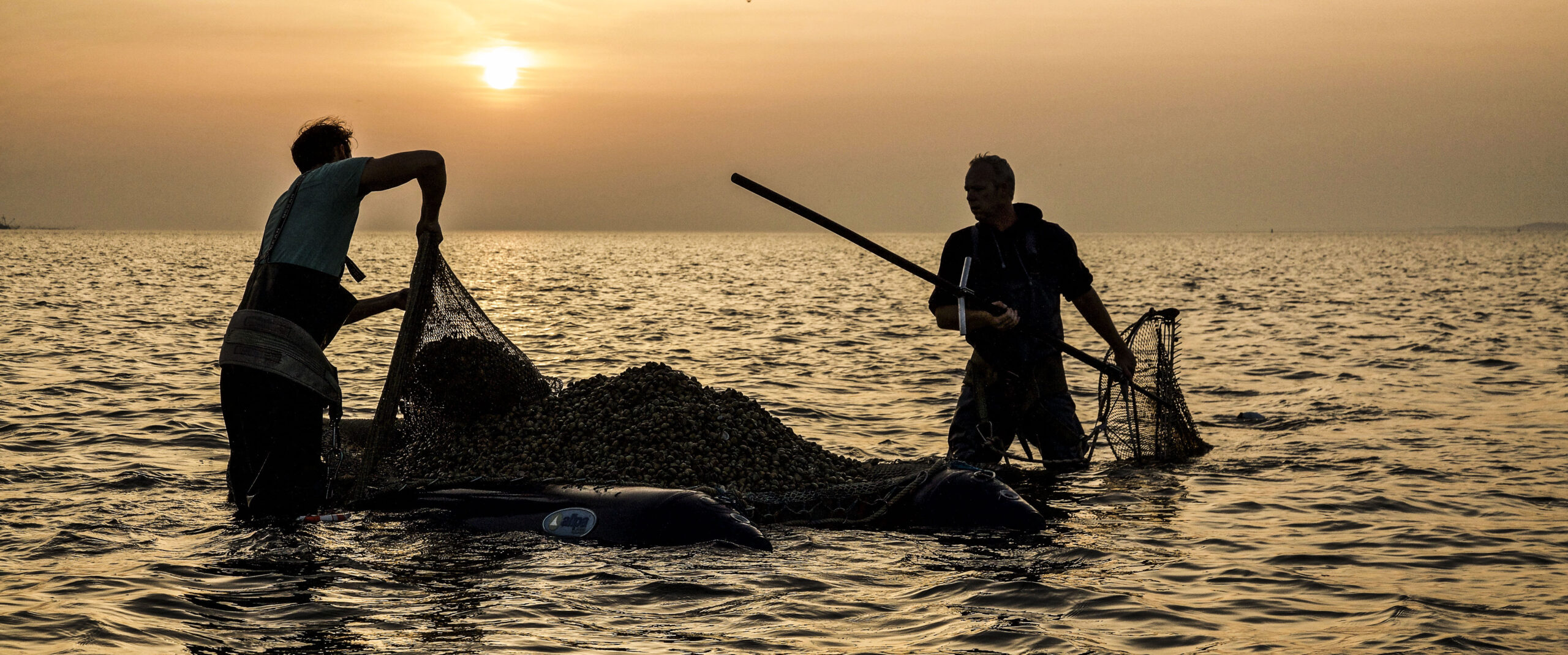 Kokkelvissers werken ondermeer in de zonsondergang in het Duitse waddengebied