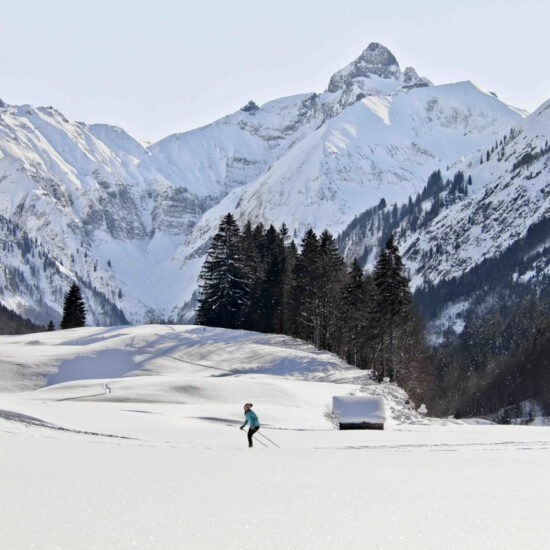Vrouw in de buurt van Oberstdorf voor alpenreuzen