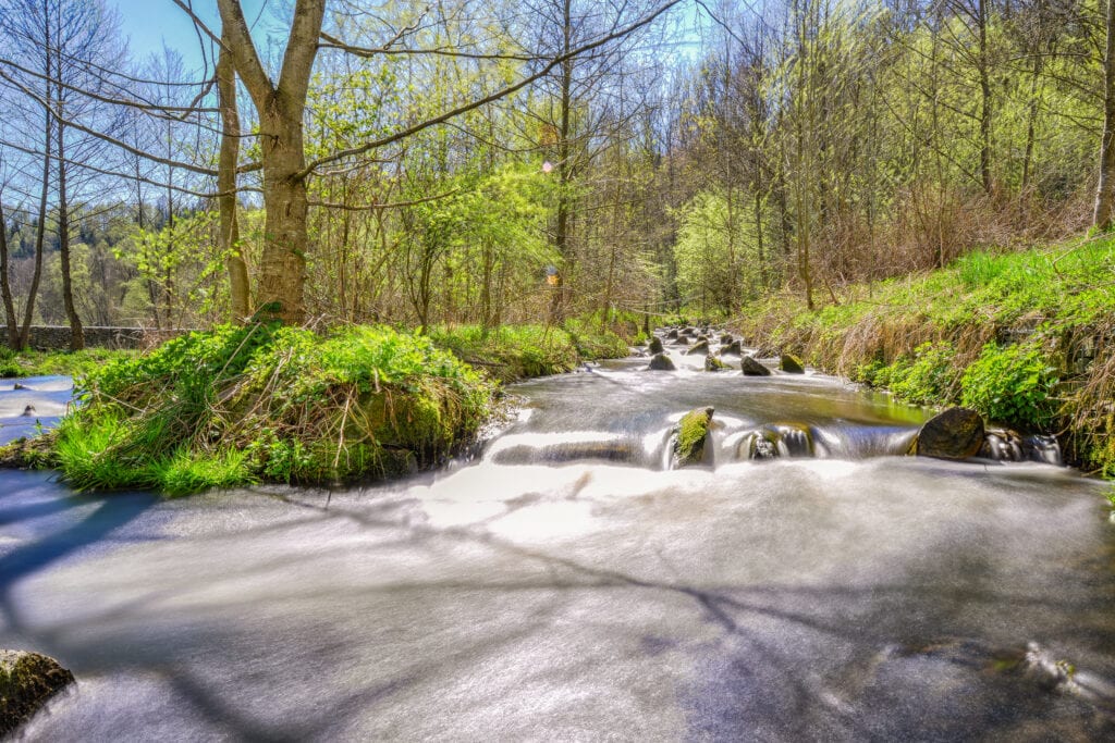 Wandelen in het Beierse Woud: Het grootste boslandschap van Europa