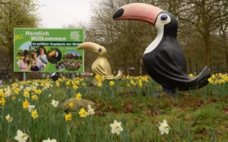Figuren van rare vogels tussen narcissen in Weltvogelpark Walsrode