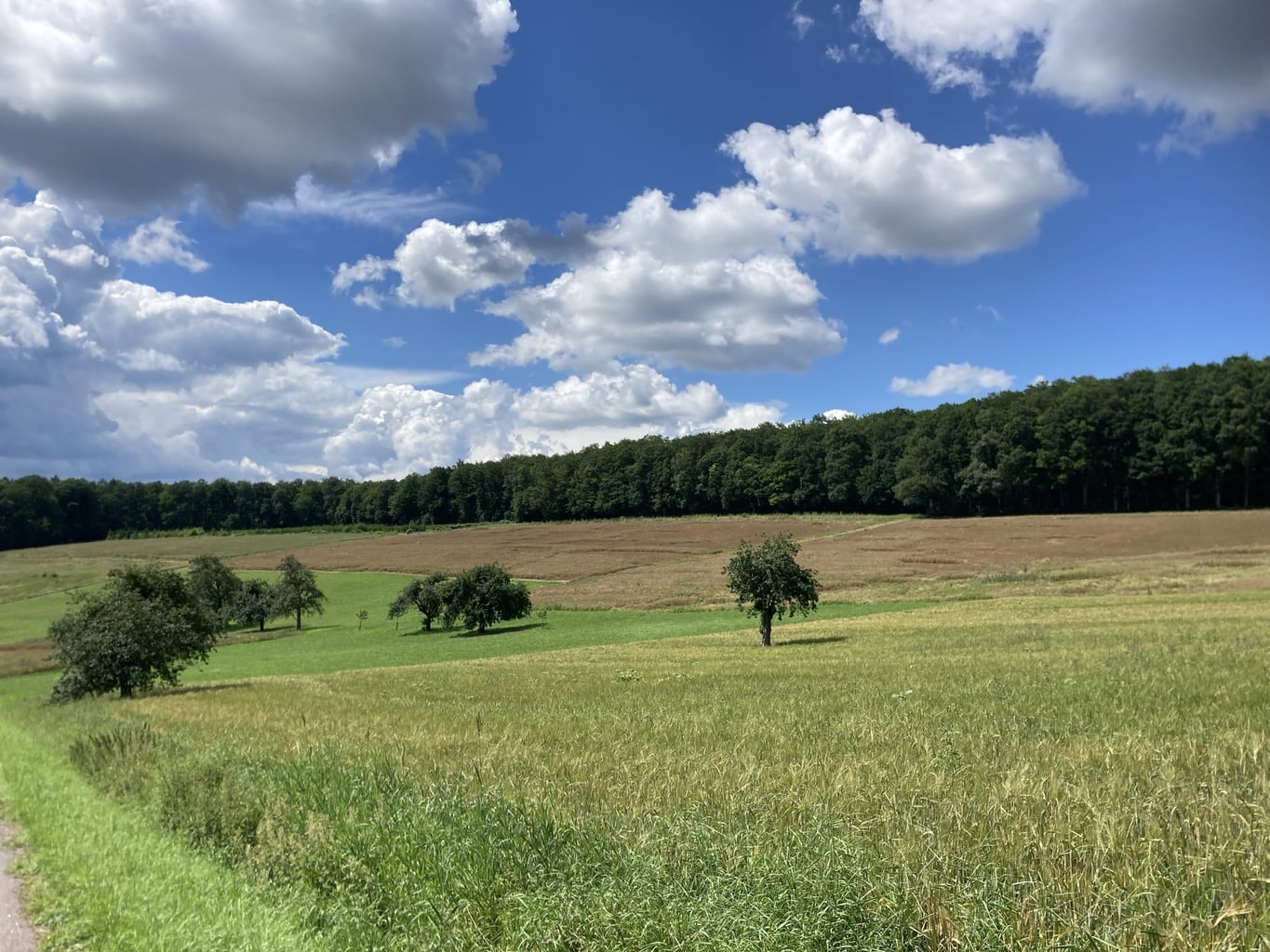 Tips voor een bezoek aan het Odenwald: Blauwe hemel met wolken een open velden