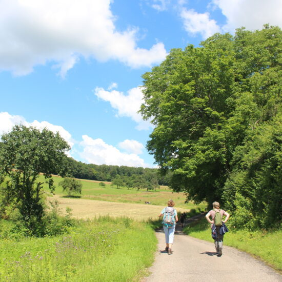 Twee wandelaars op een lekkere zomerdag in het Odenwald in Duitsland