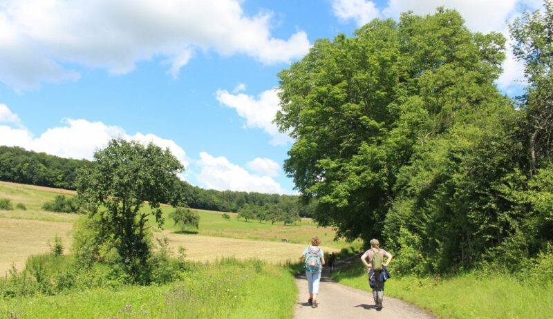 Twee wandelaars op een lekkere zomerdag in het Odenwald in Duitsland
