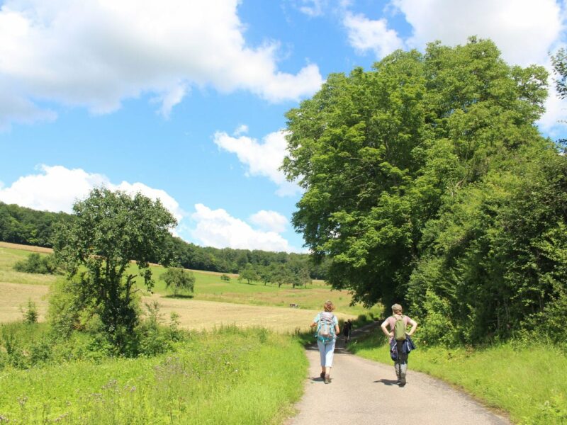 Twee wandelaars op een lekkere zomerdag in het Odenwald in Duitsland