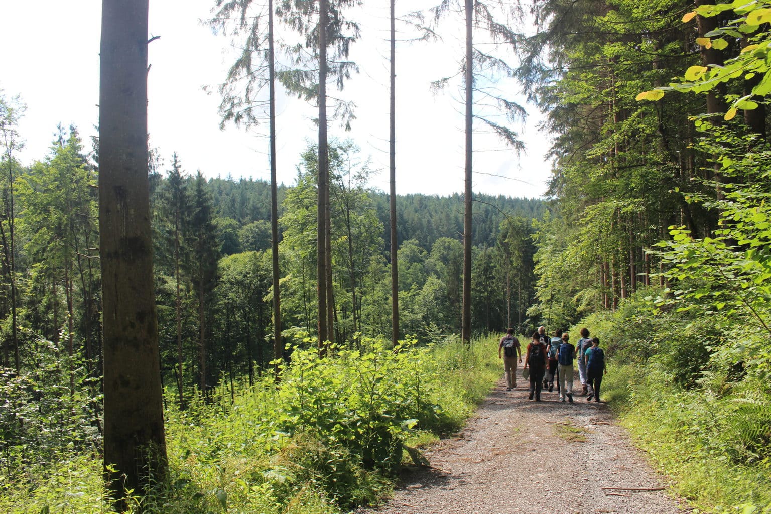 Wandelaars op een lekkere zomerdag in het Odenwald in Duitsland