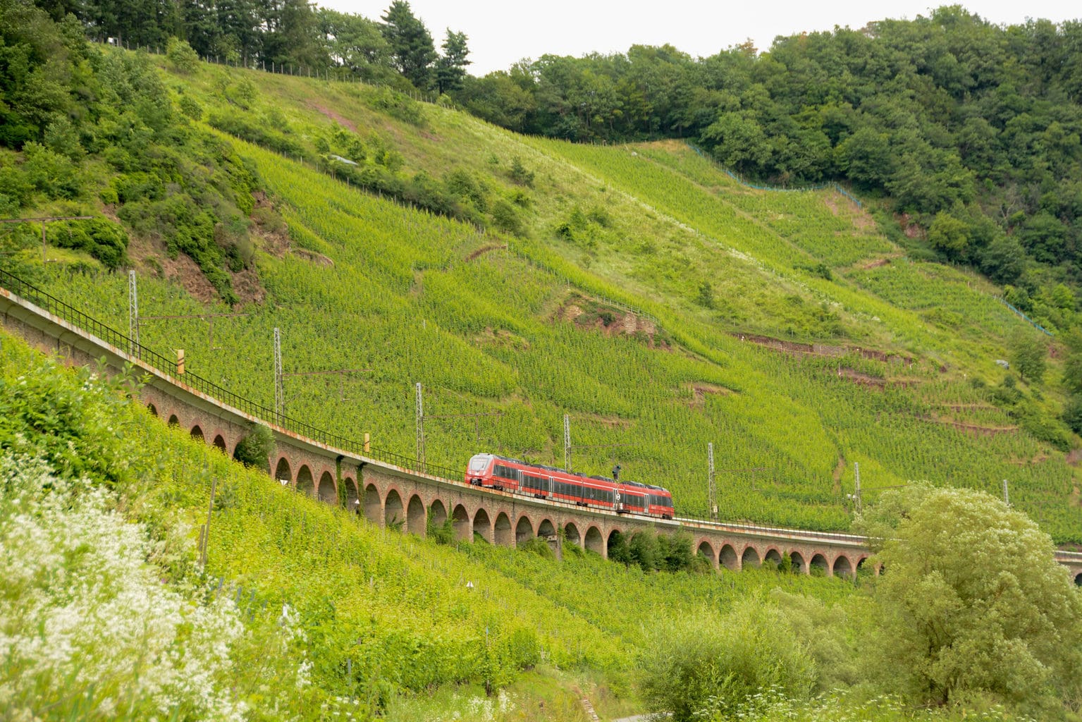 Een trein op een oude brug in een wijnberg aan de Moezel