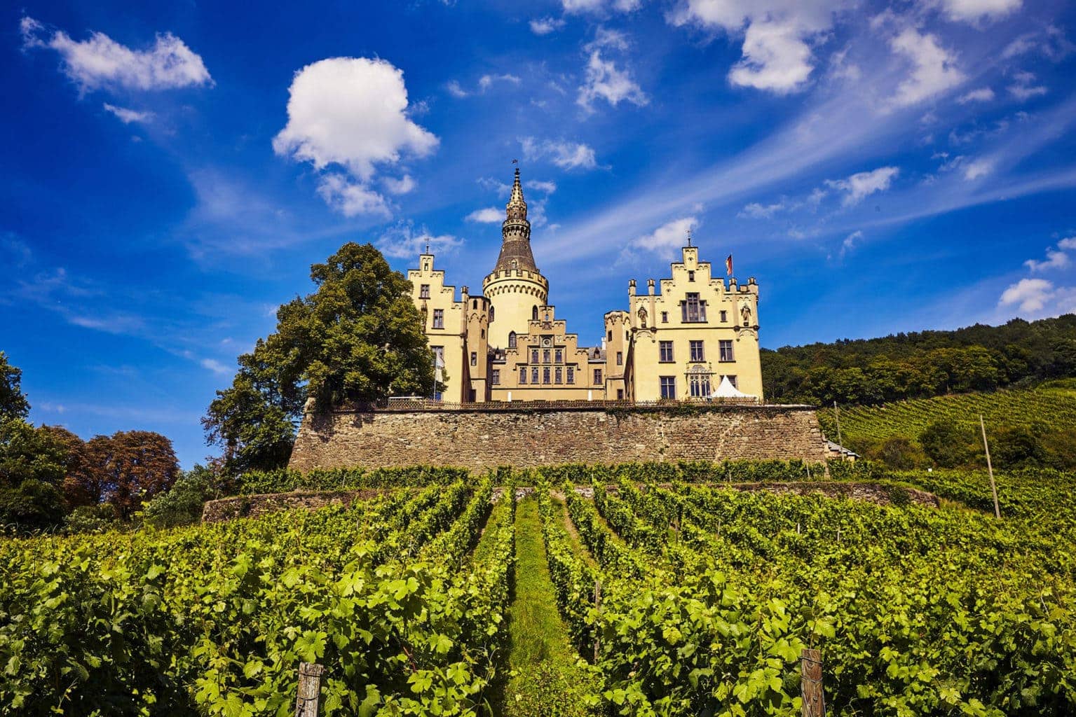 Een kasteel met wijngaarden behoort tot de attracties tijdens een wandeltocht aan de middenrijn in Bad Hönnigen