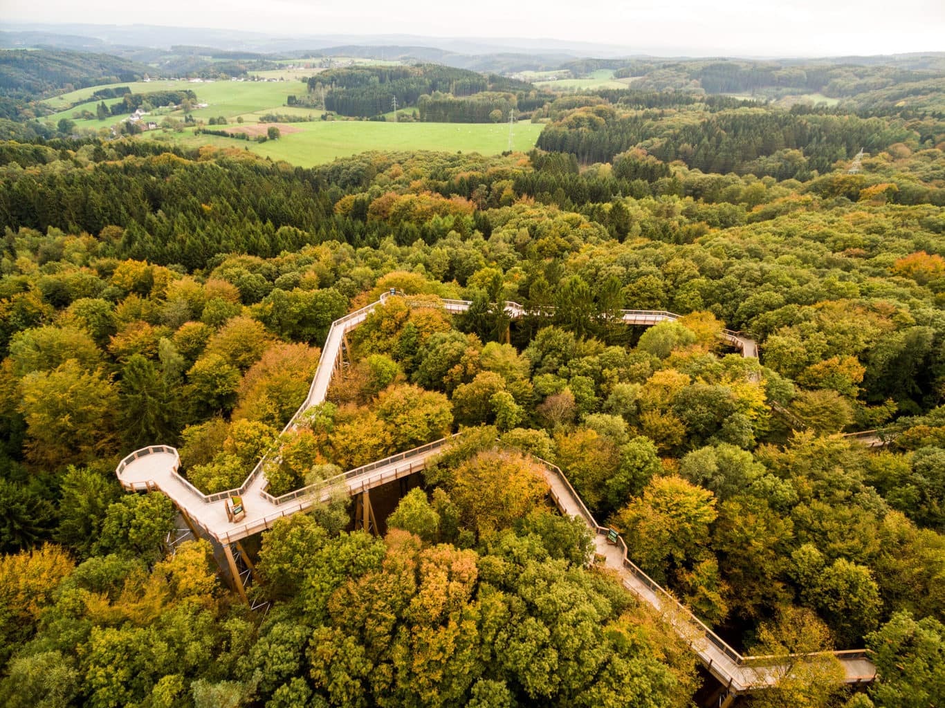 Boomlooppad in natuurpark Panarbora in het Duitse Waldbröhl