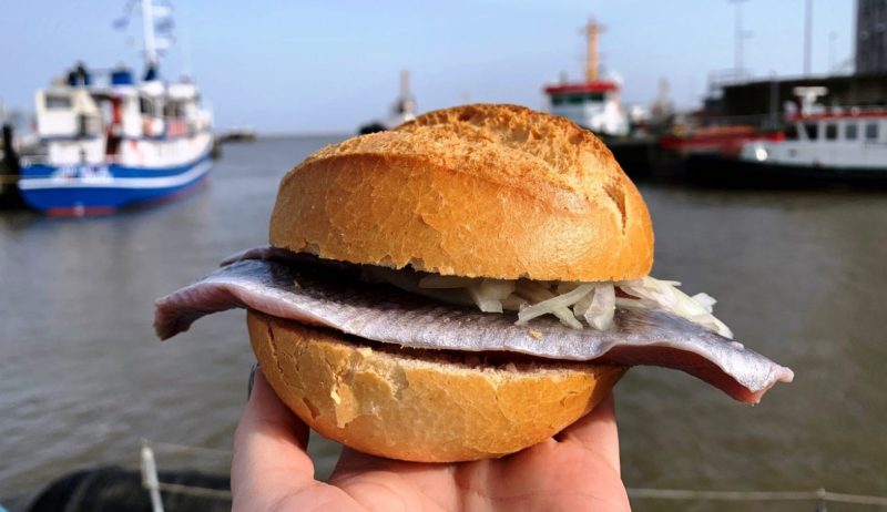 Haringbroodje in de vissershaven